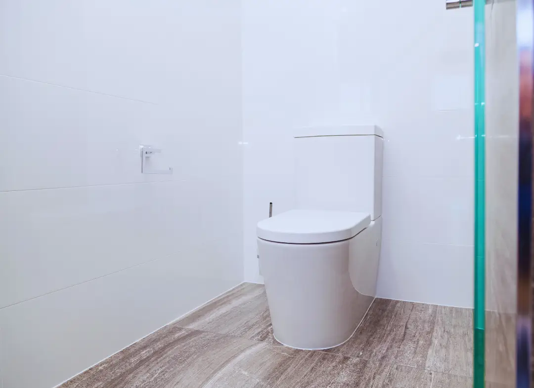 Remplacement de wc Fontenilles